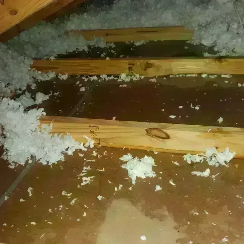 Attic Water Damage in Horse Shoe, NC